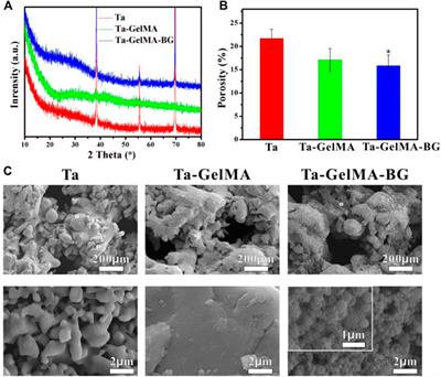 Fabrication and Characterization of Ta–GelMA–BG Scaffolds by Chemical Crosslinking Processing for Promotion Osteointegration